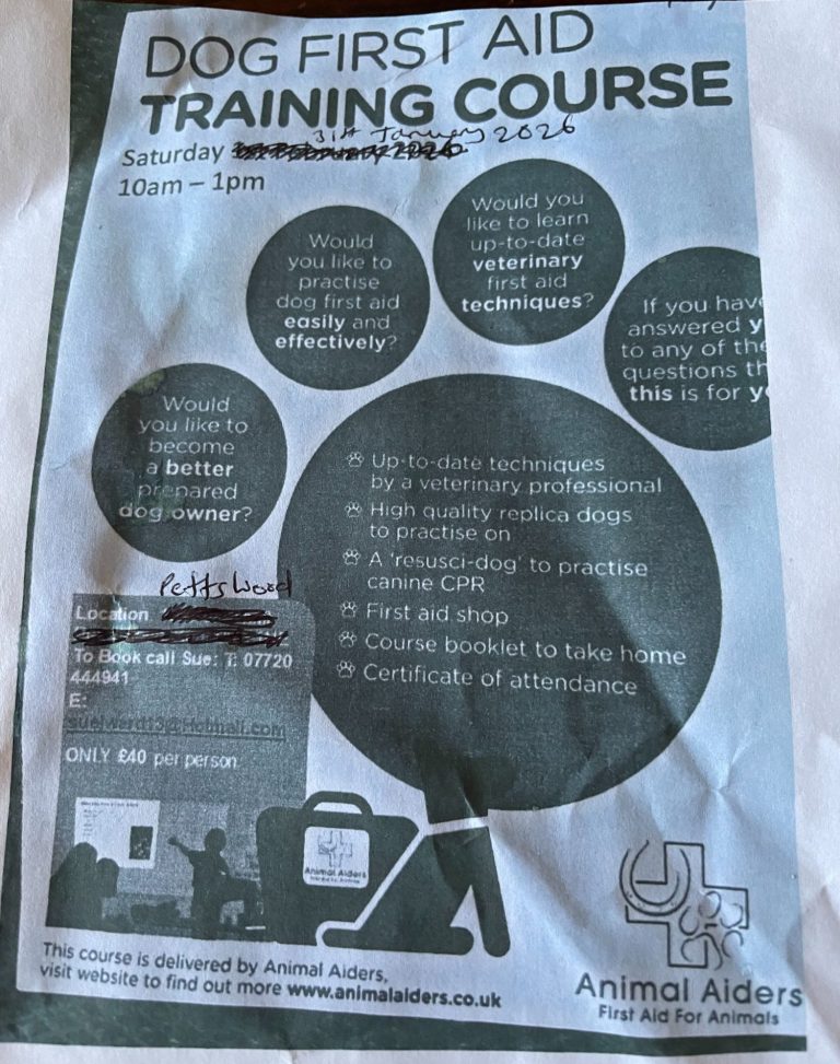 First aid for dogs in Petts Wood in Orpington Bromley by animal aiders.