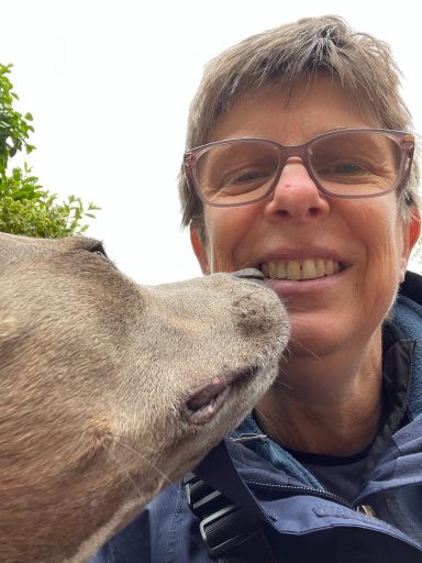 A photograph of Sue the dog trainer and Bella's (the dog) face is also in the photo.